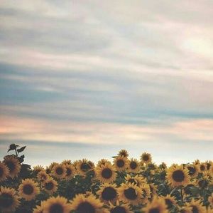 Meet your Posher, Chelsea